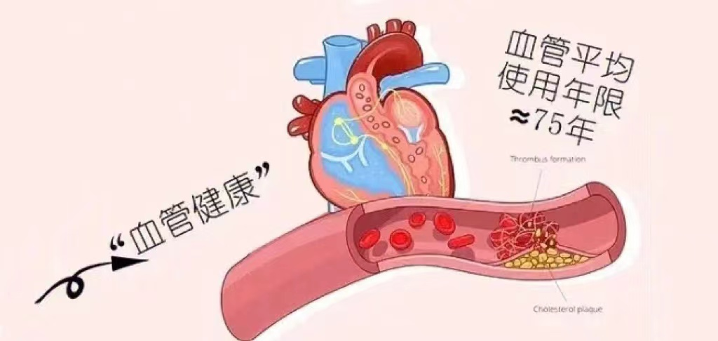微信图片_20221123154213.png
